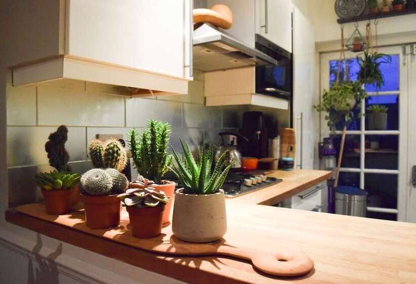 Stylish And Spacious Apartment With Terrace