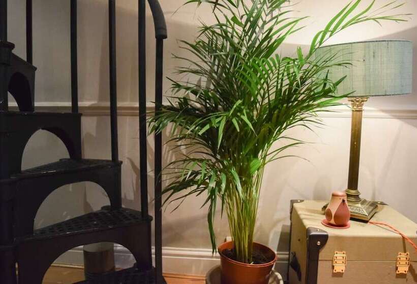 Stylish And Spacious Apartment With Terrace