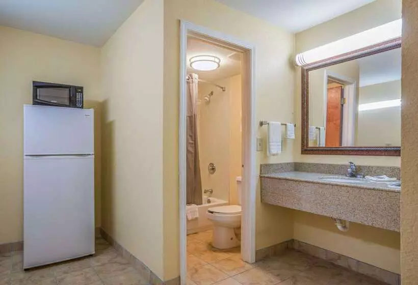 モーテル Rodeway Inn & Suites