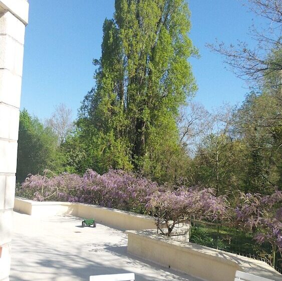 פנסיון Le Manoir Du Coeur Volant B&b