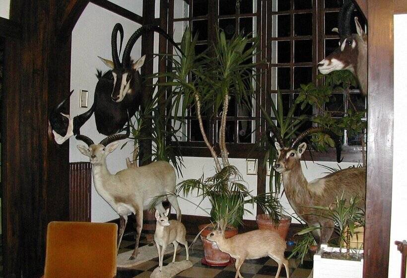 פנסיון Le Manoir Du Coeur Volant B&b