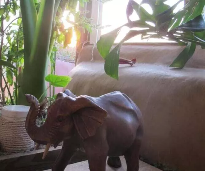 Hotelli Caliu Earthship Ecolodge