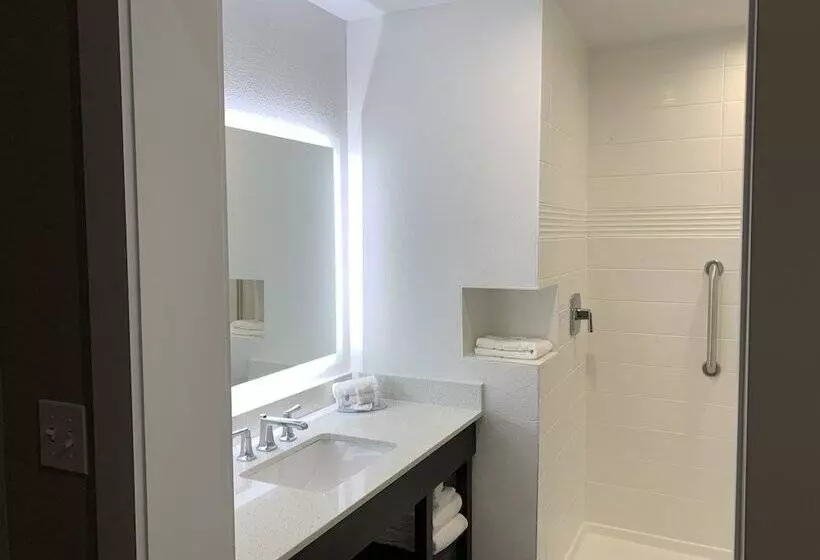 ホテル Comfort Inn & Suites