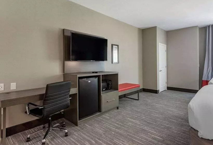 ホテル Comfort Inn & Suites