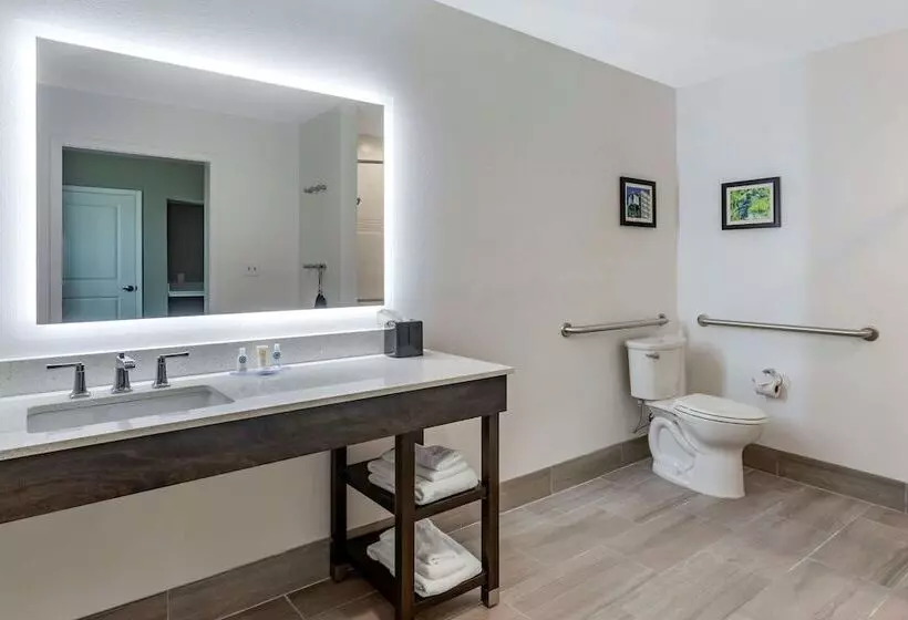 ホテル Comfort Inn & Suites