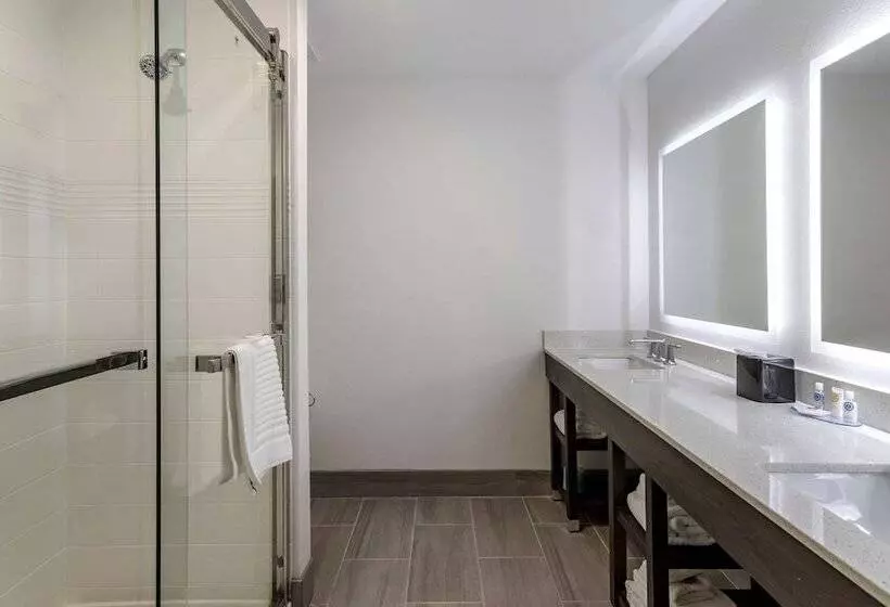 ホテル Comfort Inn & Suites