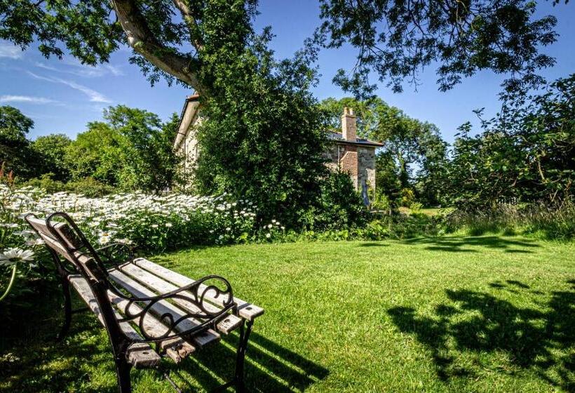 Cosy Wolf Bed & Breakfast