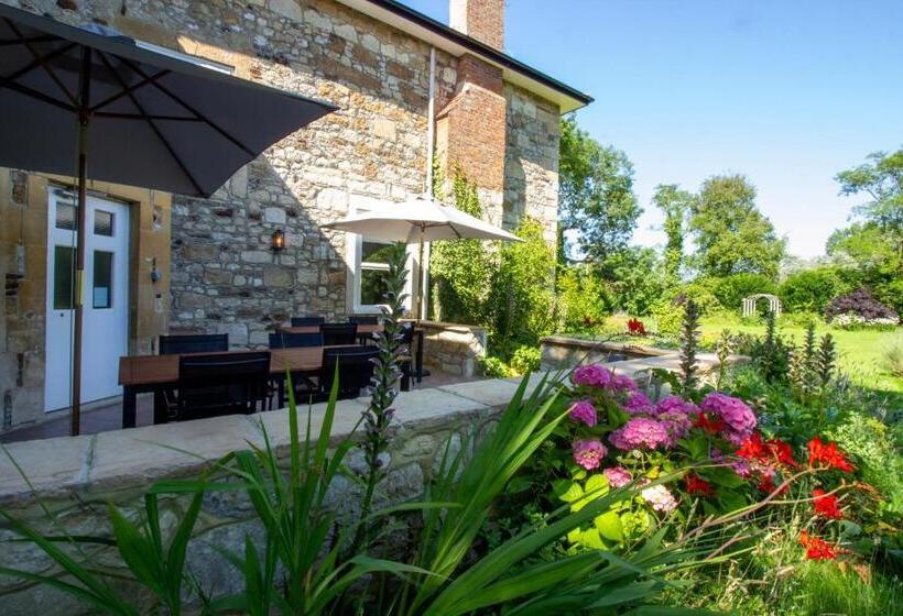 Cosy Wolf Bed & Breakfast