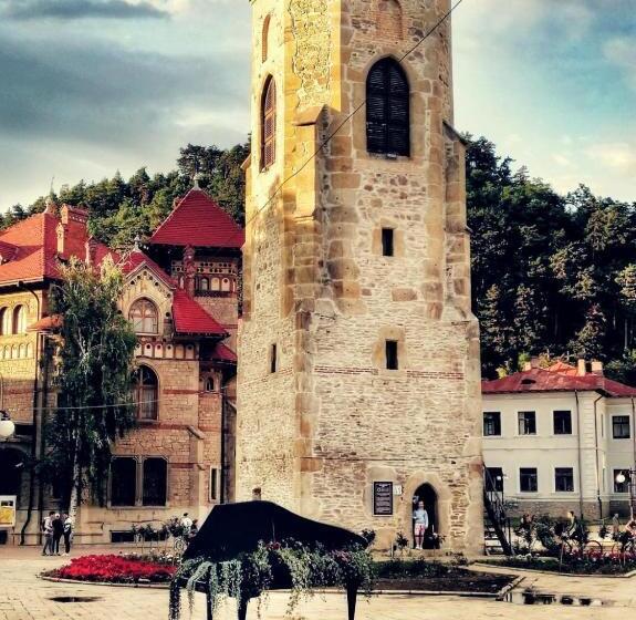 هتل Agropensiunea Ozon