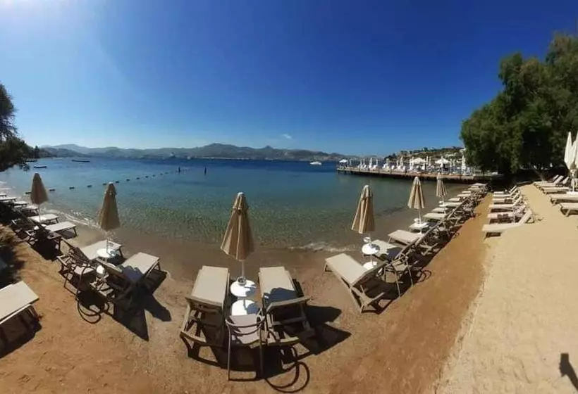 Farrys Boutique Hotel & Beach Club   Yalıkavak