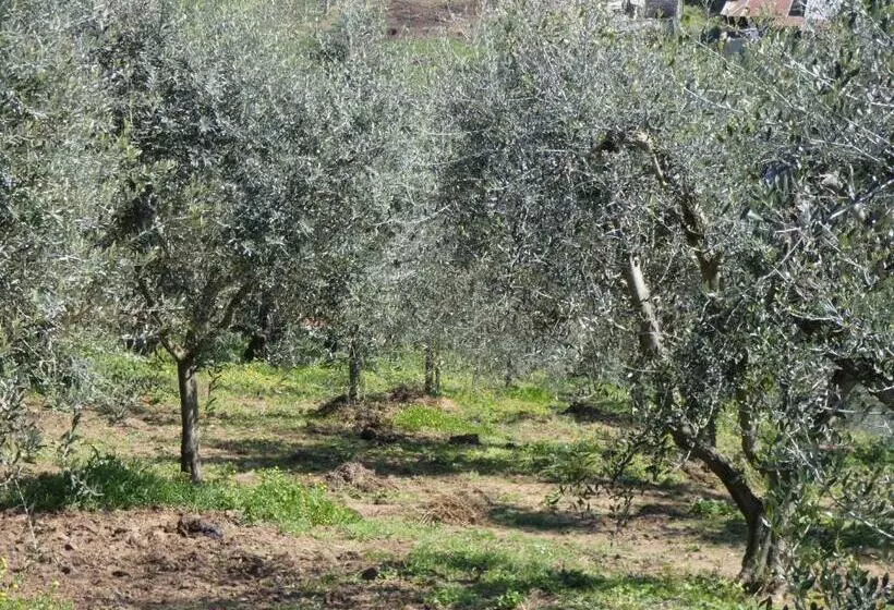 Hotelli I Due Melograni Agriresort