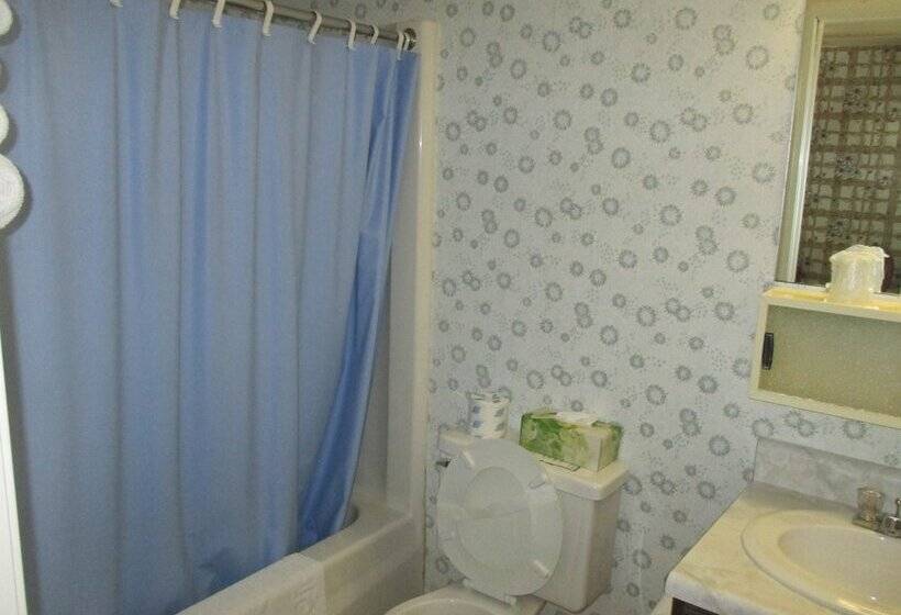 汽车旅馆 Long Beach Motor Inn