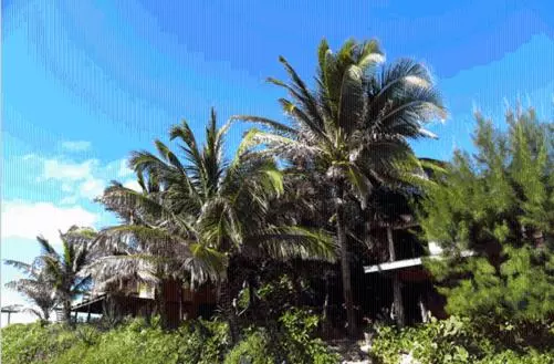 پانسیون Pousada Paraíso Das Tartarugas