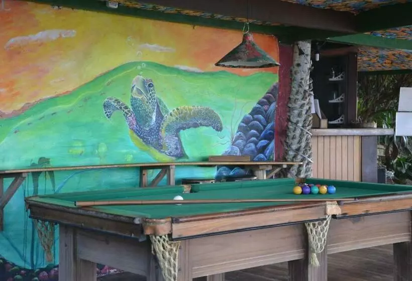 پانسیون Pousada Paraíso Das Tartarugas