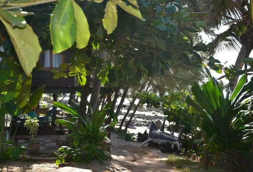 پانسیون Pousada Paraíso Das Tartarugas