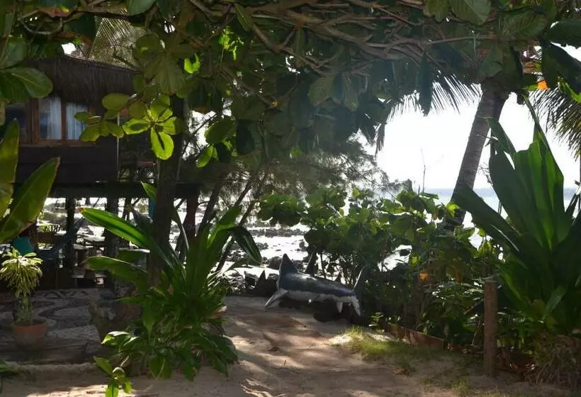 پانسیون Pousada Paraíso Das Tartarugas