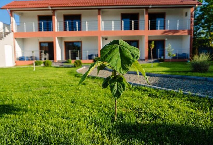 بنسيون Wait`n Sea House