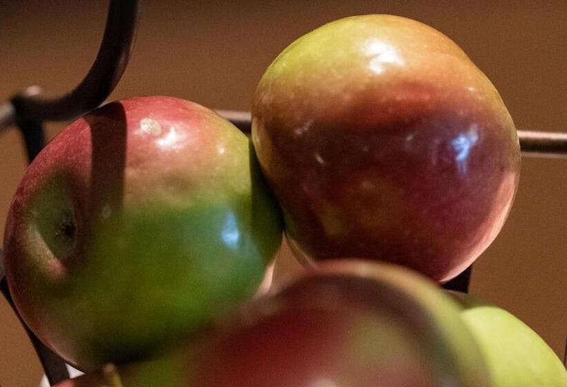 Et Motel Le Chateauguay