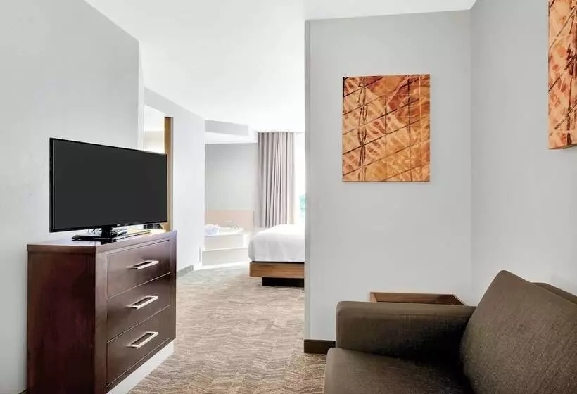 هتل Springhill Suites By Marriott Tarrytown Westchester County
