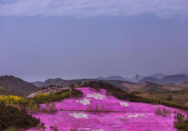 בית מלון כפרי 7days Premium Dalian Lvshun Central Square New Mart