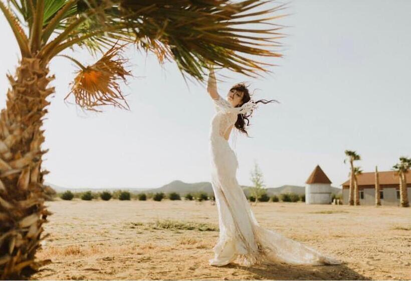 فندق صغير The Castle House Estate