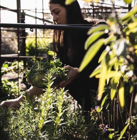 Bed and Breakfast Bay Of Fires Bush Retreat