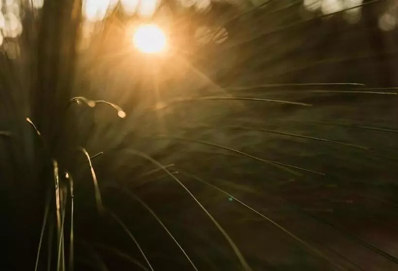 ベッドアンドブレックファースト Bay Of Fires Bush Retreat