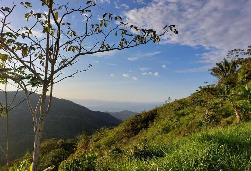 Bed and Breakfast Restaurante Y Cabinas Sudy