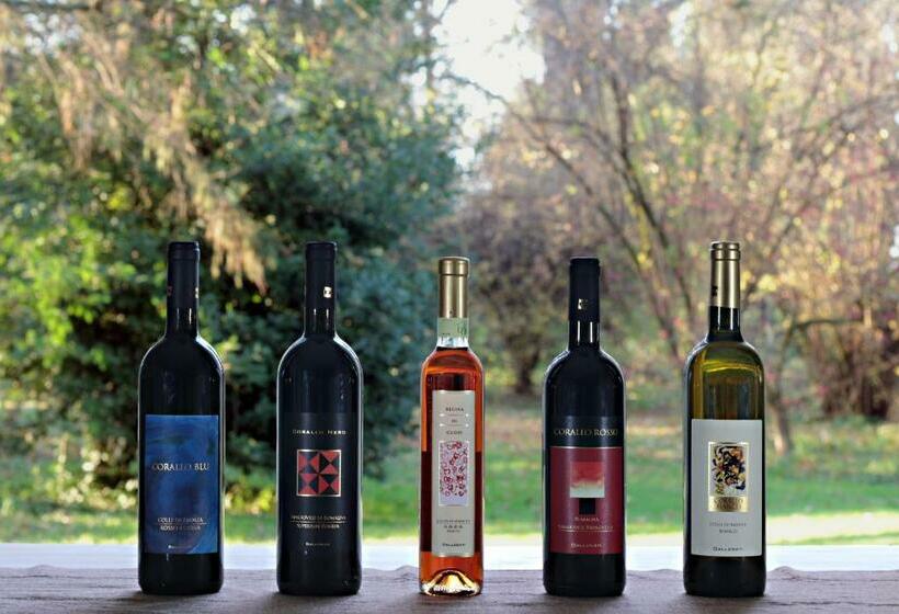 فندق Agriturismo Gallegati