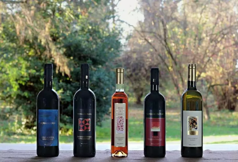 ホテル Agriturismo Gallegati