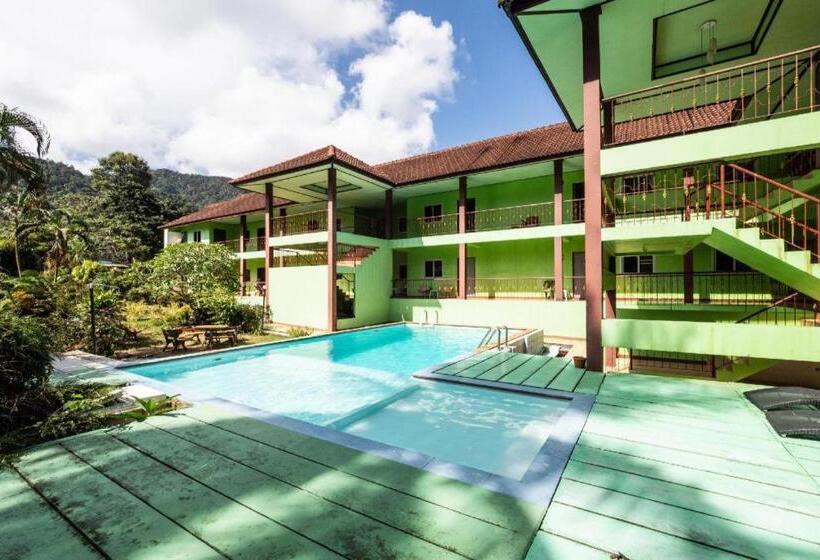 호텔 Alysia Spring Resort