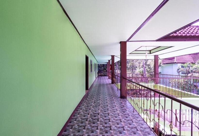 호텔 Alysia Spring Resort