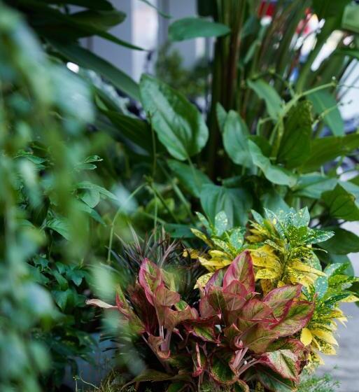 Trang An Hotel   5 Minutes Landmark 81