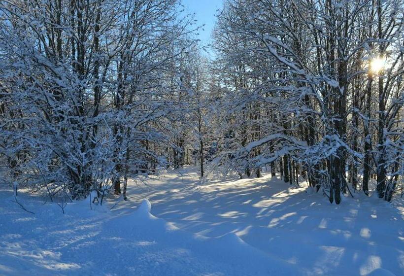Kjølen Hotel Trysil