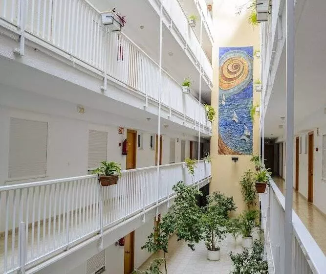 Apartamentos Avenida