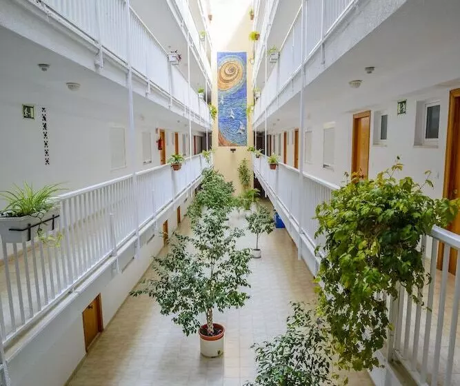 Apartamentos Avenida