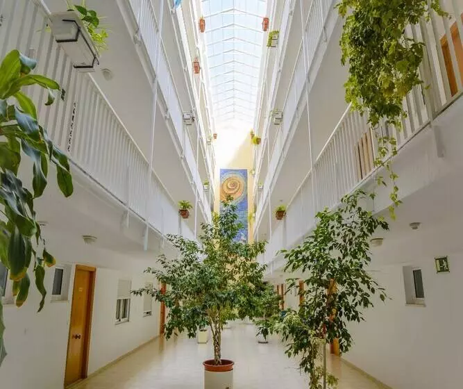 Apartamentos Avenida