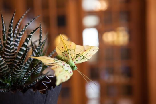 E&g Hotel Alpenblick