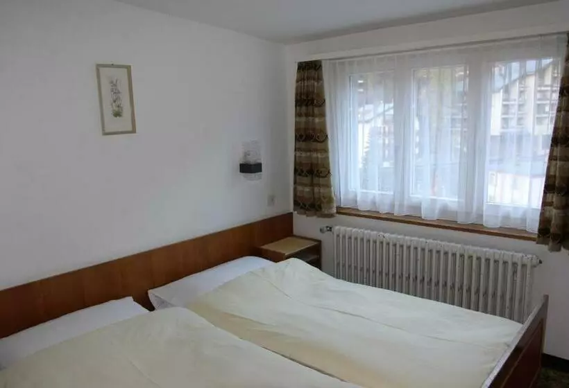 فندق Alfa Zermatt