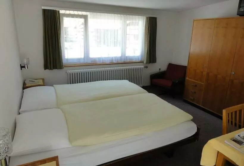 فندق Alfa Zermatt