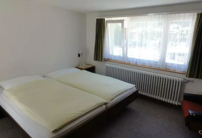 فندق Alfa Zermatt