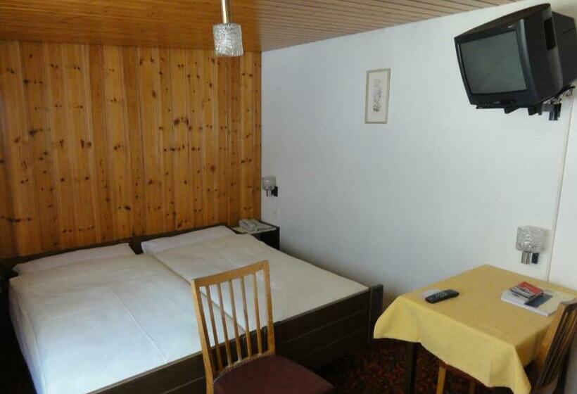 Szálloda Alfa Zermatt