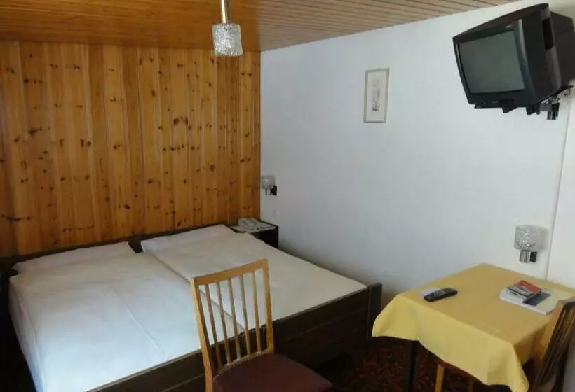 فندق Alfa Zermatt