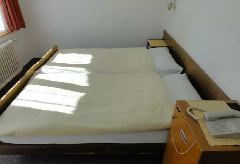 فندق Alfa Zermatt