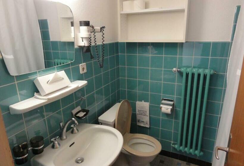 Szálloda Alfa Zermatt