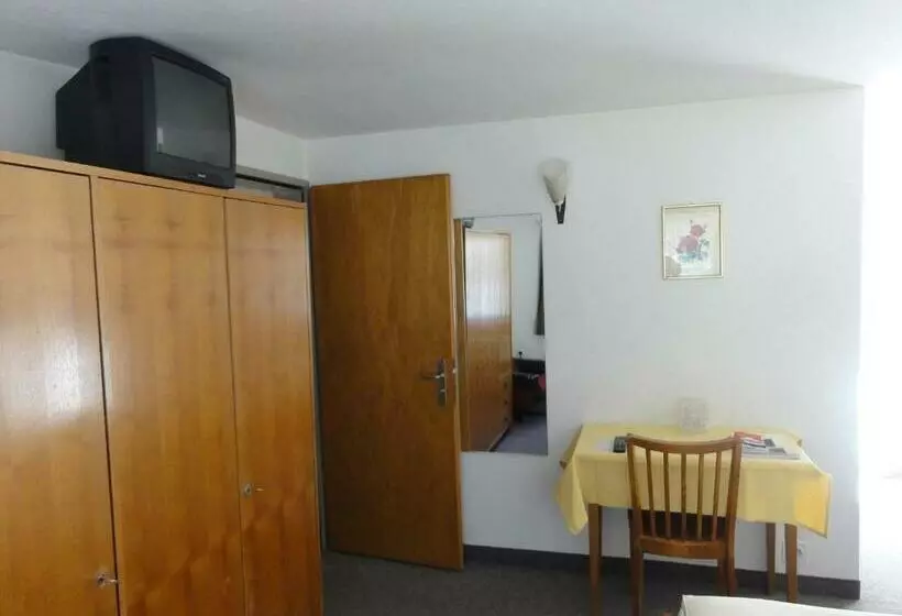 فندق Alfa Zermatt