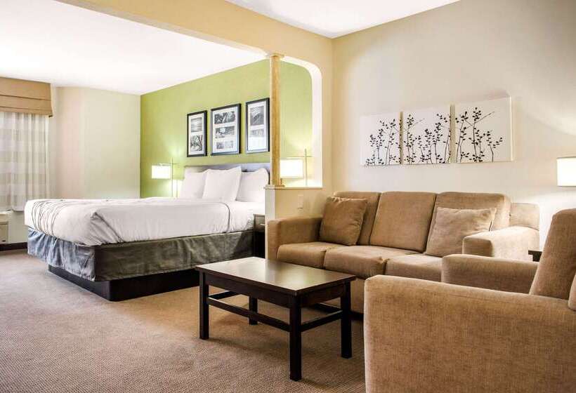 호텔 Sleep Inn & Suites