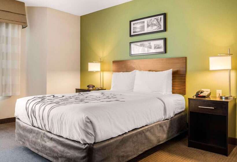 호텔 Sleep Inn & Suites