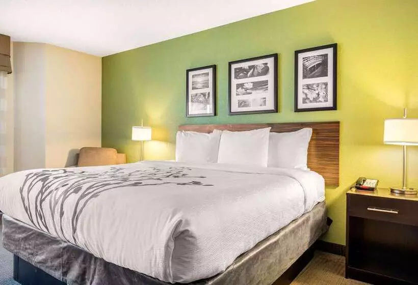 Отель Sleep Inn & Suites