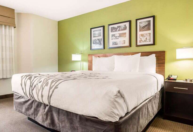 호텔 Sleep Inn & Suites